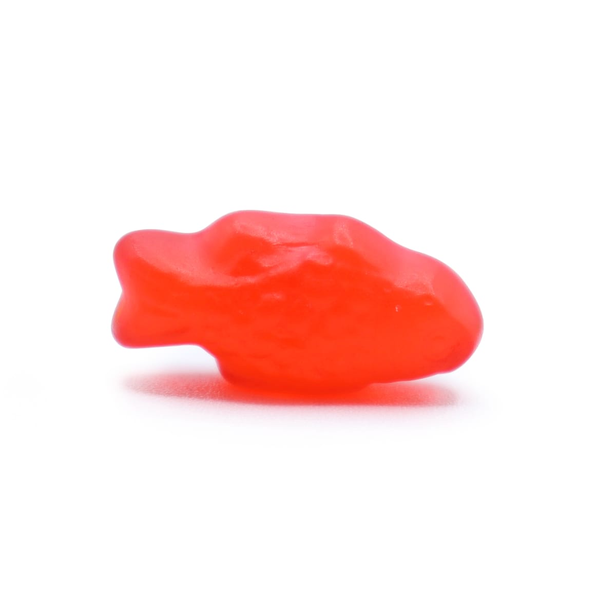 Gummy Candy Assorted Mini Fish Bulk fresh by the pound