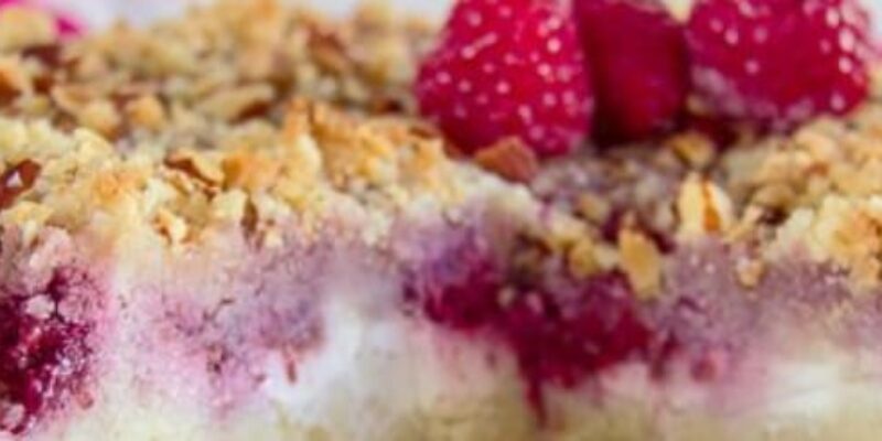 Raspberry Almond Cake Recipe Lorentanuts.com 